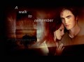 A walk to remember - prolog